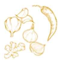 vegetable